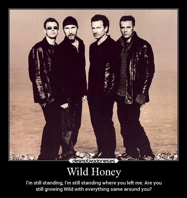 Wild Honey - Im still standing, Im still standing where you left me. Are you
still growing Wild with everything same around you?