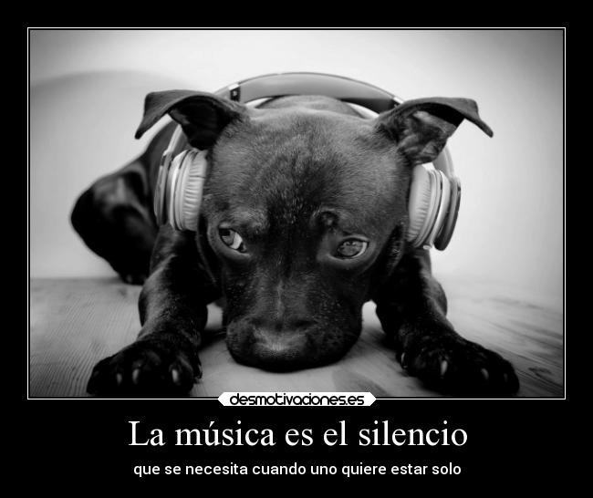 La música es el silencio -