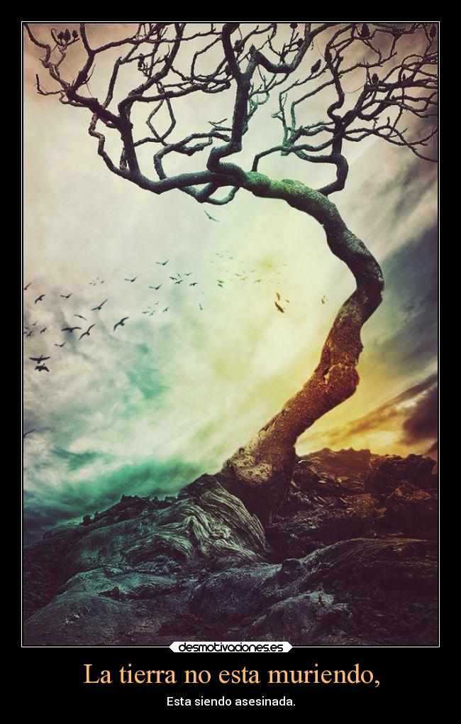 La tierra no esta muriendo, - Esta siendo asesinada.