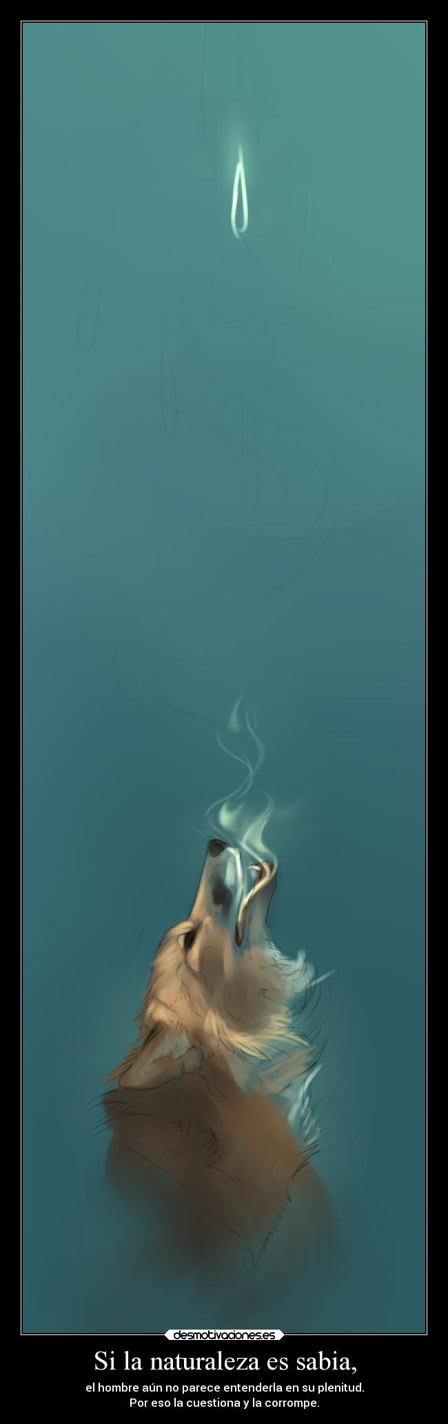 Si la naturaleza es sabia, - 