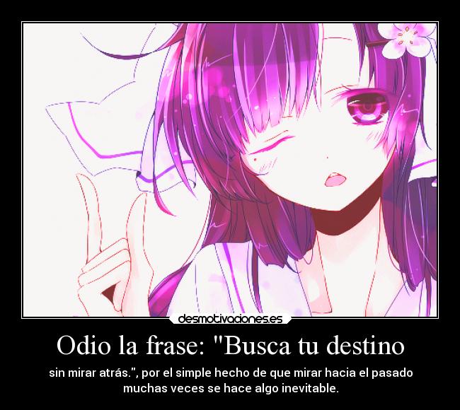 Odio la frase: Busca tu destino -