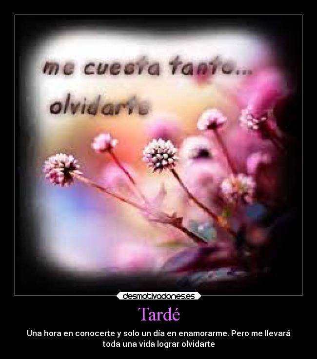 Tardé - Una hora en conocerte y solo un día en enamorarme. Pero me llevará
toda una vida lograr olvidarte