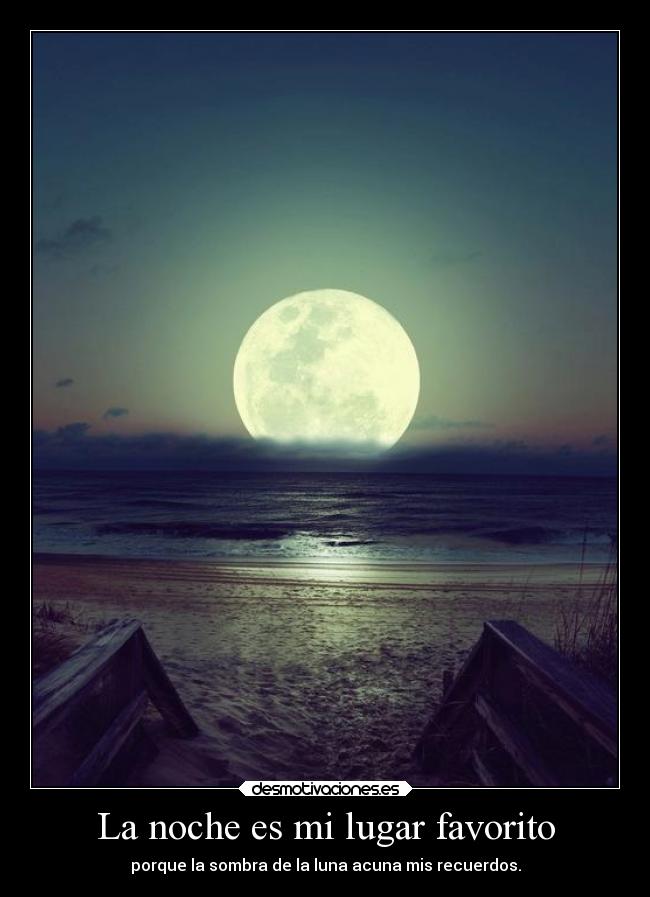 La noche es mi lugar favorito - 
