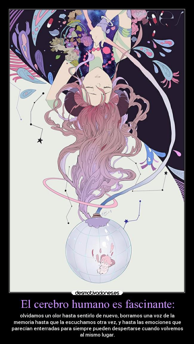 El cerebro humano es fascinante: - olvidamos un olor hasta sentirlo de nuevo, borramos una voz de la
memoria hasta que la escuchamos otra vez, y hasta las emociones que
parecían enterradas para siempre pueden despertarse cuando volvemos
al mismo lugar.