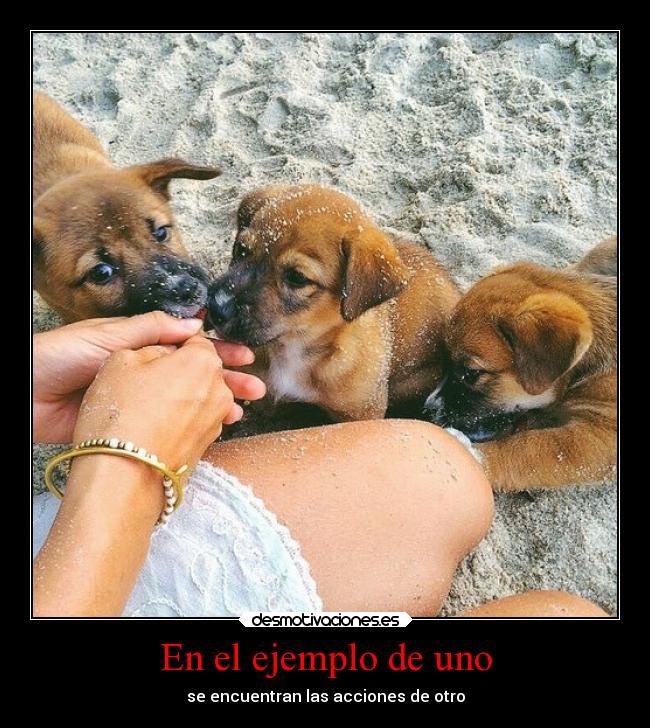 En el ejemplo de uno - 