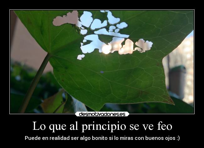 Lo que al principio se ve feo -