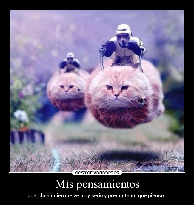 Mis pensamientos - cuando alguien me ve muy serio y pregunta en qué pienso...