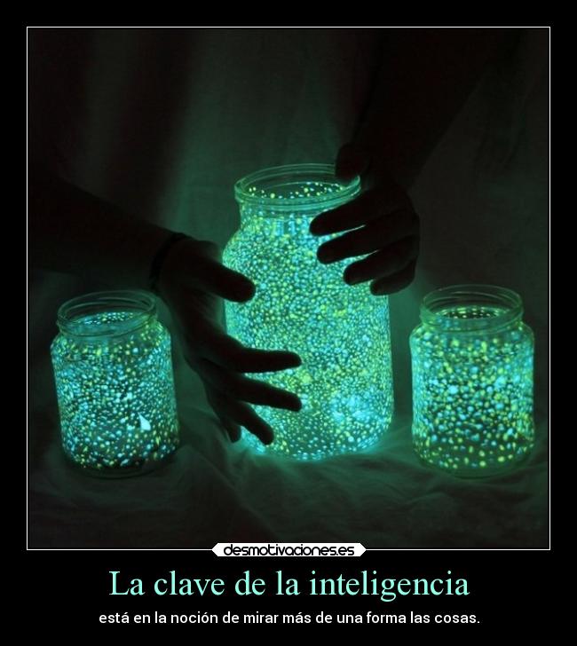 La clave de la inteligencia - 