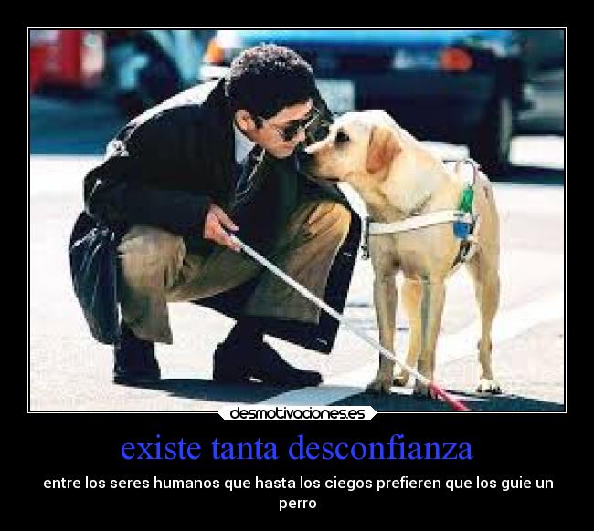 existe tanta desconfianza - entre los seres humanos que hasta los ciegos prefieren que los guie un
perro