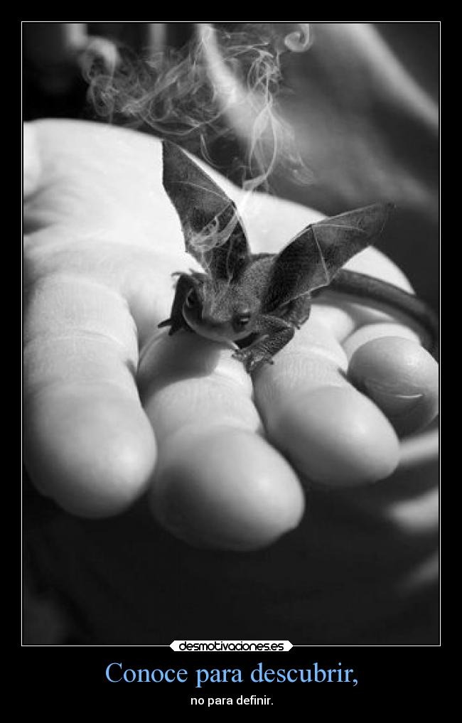 Conoce para descubrir, - 