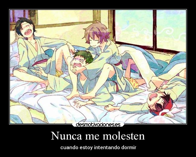 carteles pokemon anime dormir tixo touya hibiki brendan kouko desmotivaciones