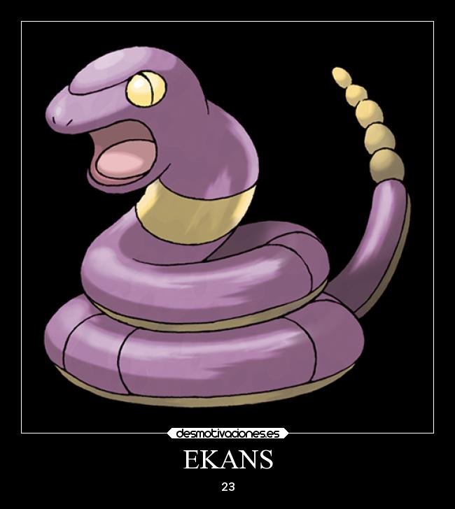 EKANS - 23