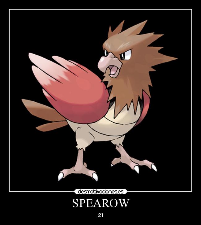 SPEAROW - 21