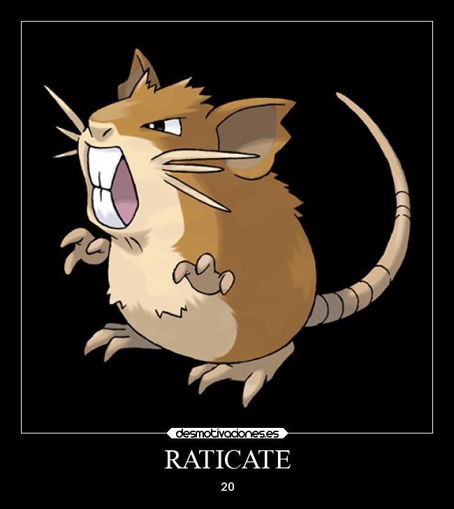 RATICATE - 20
