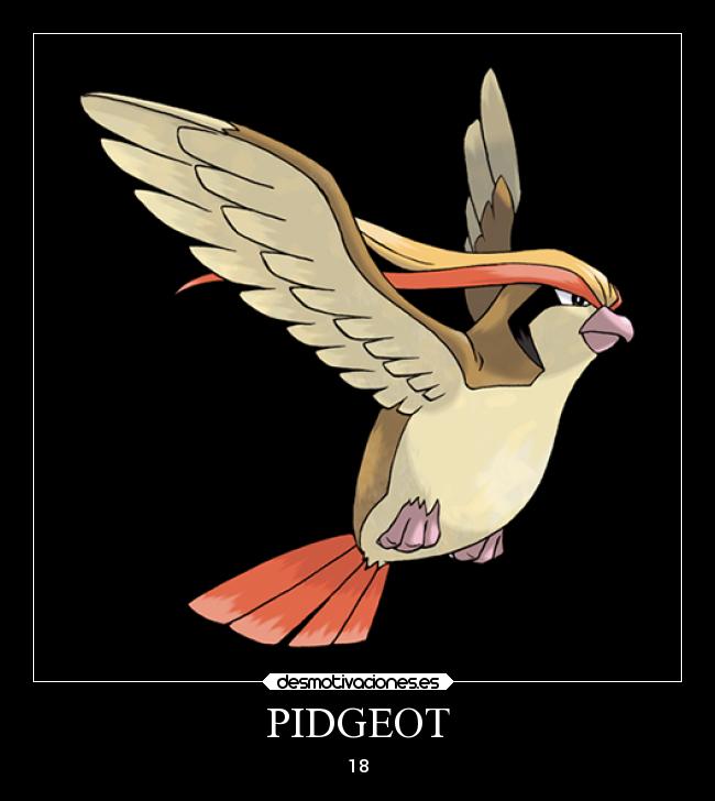 PIDGEOT - 18