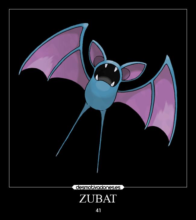 ZUBAT - 41