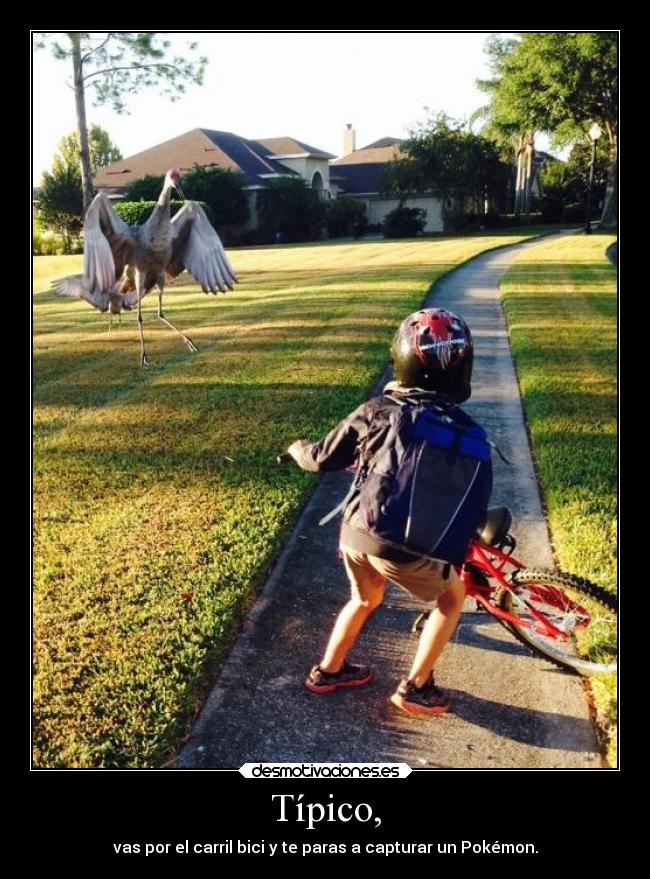 Típico, - vas por el carril bici y te paras a capturar un Pokémon.