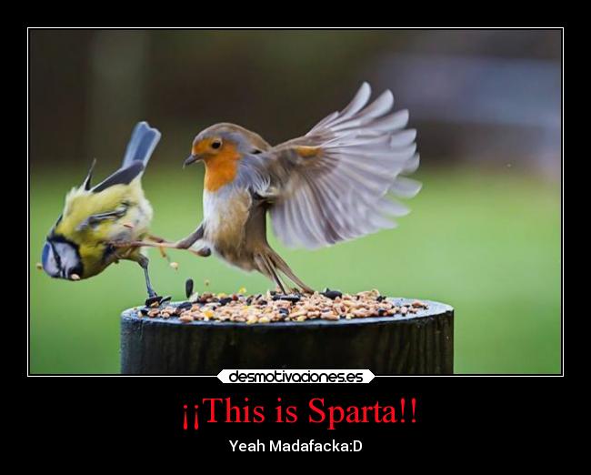 ¡¡This is Sparta!! - Yeah Madafacka:D