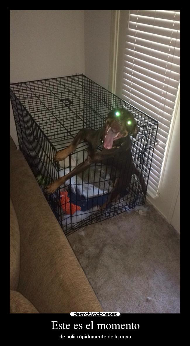 Este es el momento - 