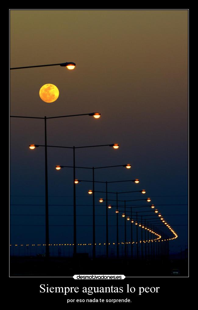 carteles problemas silencio obstaculos naturaleza mujer mundo llorar ausencia alma loba delolvido clanloup desmotivaciones