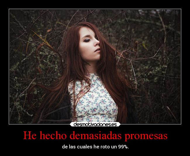 He hecho demasiadas promesas -