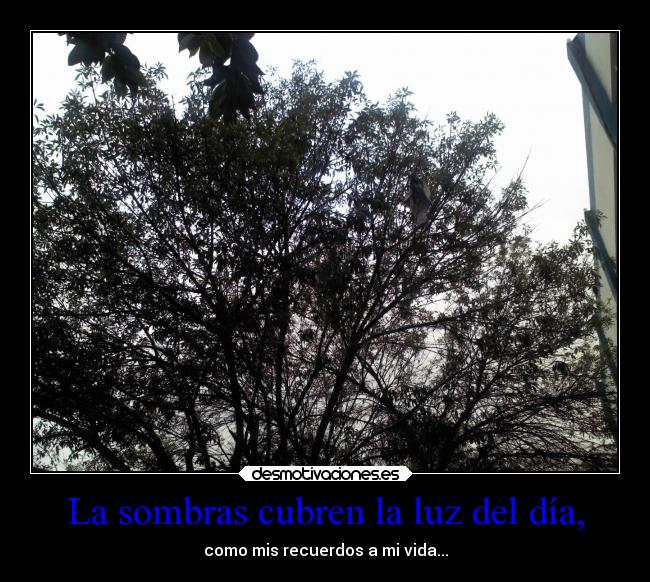La sombras cubren la luz del día, - como mis recuerdos a mi vida...