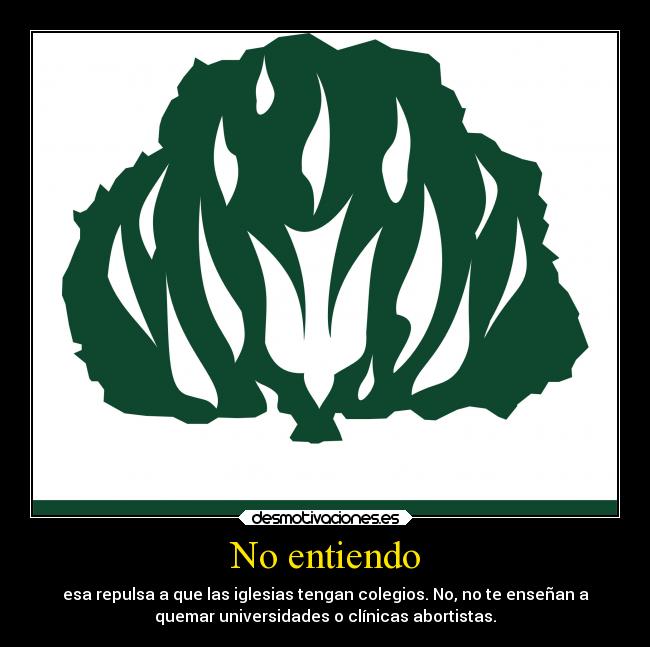 No entiendo - esa repulsa a que las iglesias tengan colegios. No, no te enseñan a
quemar universidades o clínicas abortistas.