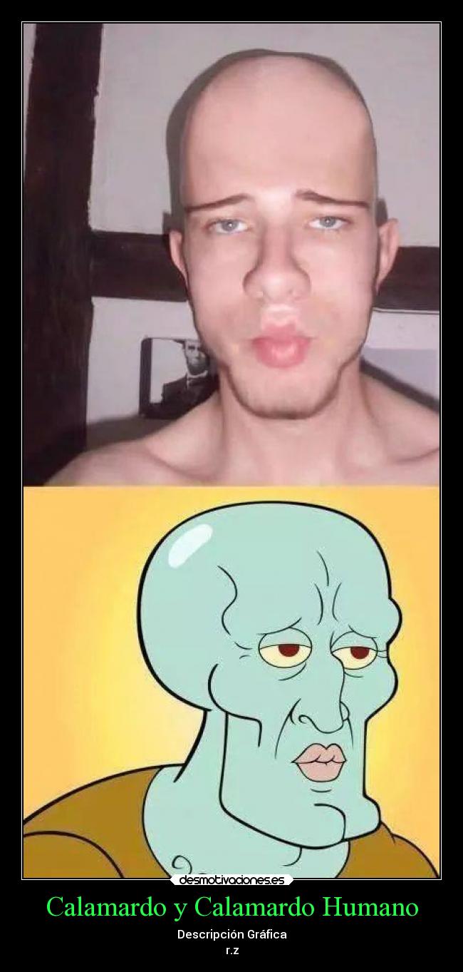 Calamardo y Calamardo Humano - Descripción Gráfica
r.z