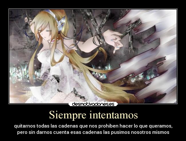 Siempre intentamos - 