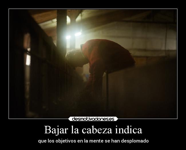 Bajar la cabeza indica - 