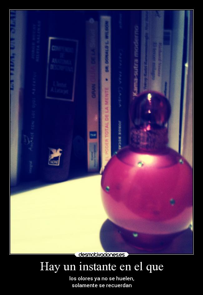 carteles sentimientos desmotivaciones