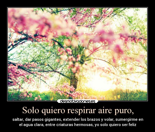 Solo quiero respirar aire puro, -