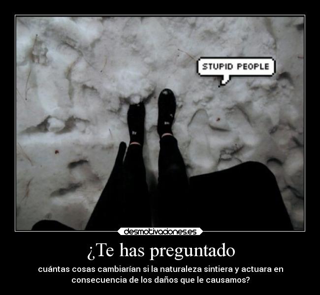 carteles sentimientos naturaleza preguntarse cosas cambios acciones danos causas desmotivaciones