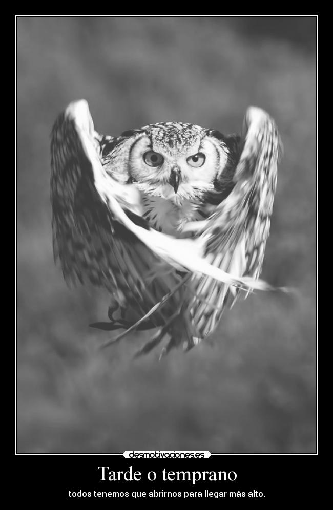 carteles sentimientos vida fielalrock abretucorazonsintemoraserlastimado desmotivaciones