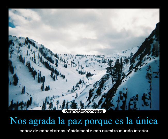 Nos agrada la paz porque es la única - capaz de conectarnos rápidamente con nuestro mundo interior.