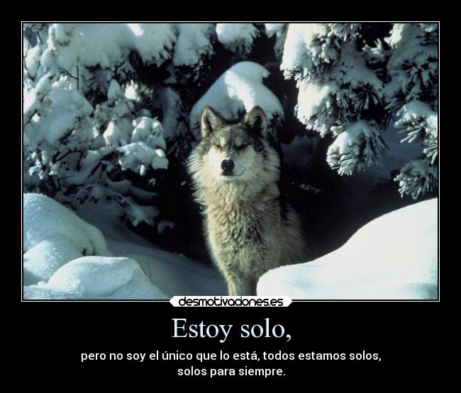 Estoy solo, -