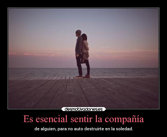 Es esencial sentir la compañía - 