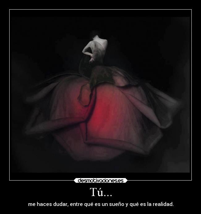 Tú... - me haces dudar, entre qué es un sueño y qué es la realidad.