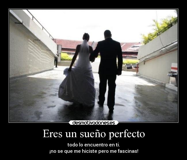 Eres un sueño perfecto - todo lo encuentro en ti.
¡no se que me hiciste pero me fascinas!
