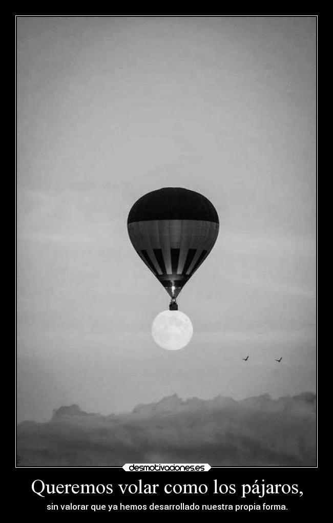 carteles suenos querer volar pajaros valorar desarrollar propia forma desmotivaciones