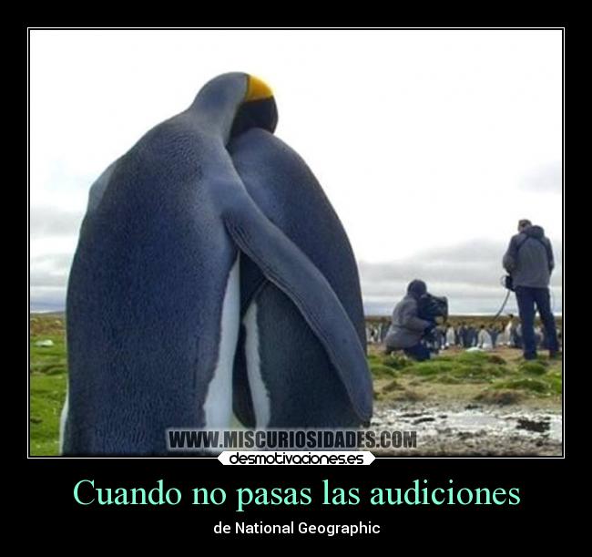 Cuando no pasas las audiciones -