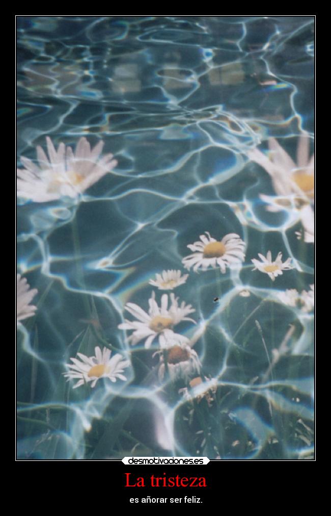La tristeza - es añorar ser feliz.