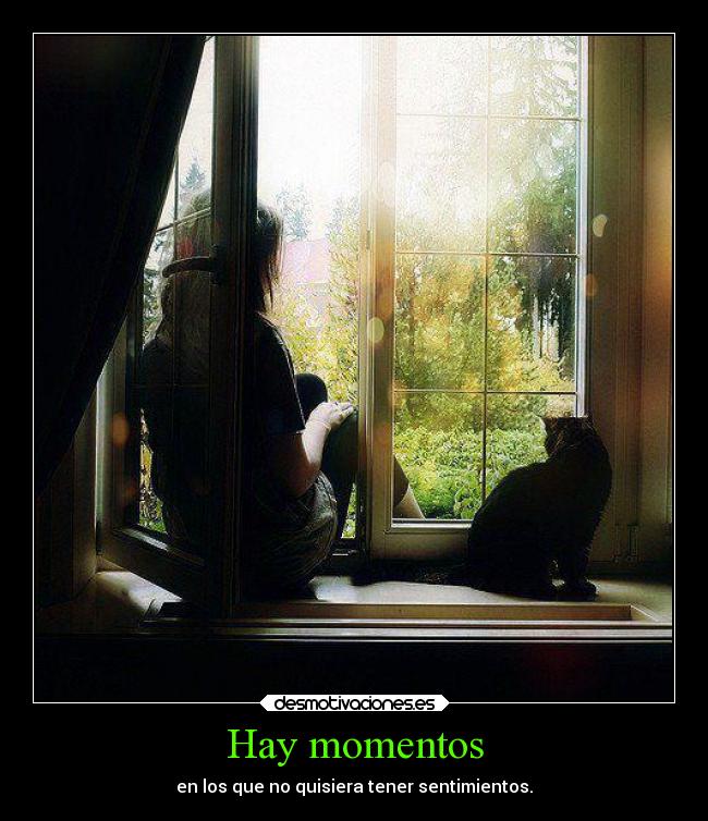 Hay momentos - en los que no quisiera tener sentimientos.