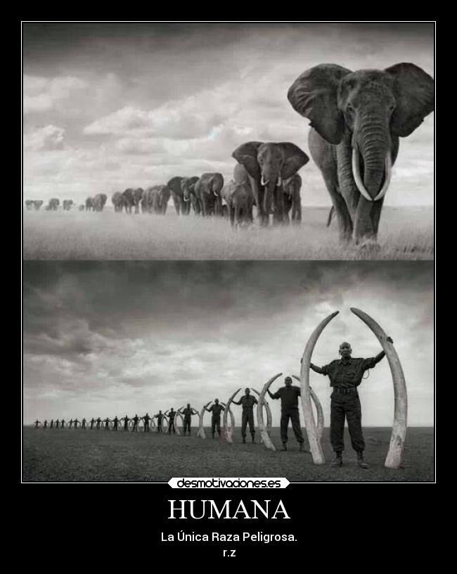 HUMANA - La Única Raza Peligrosa.
r.z