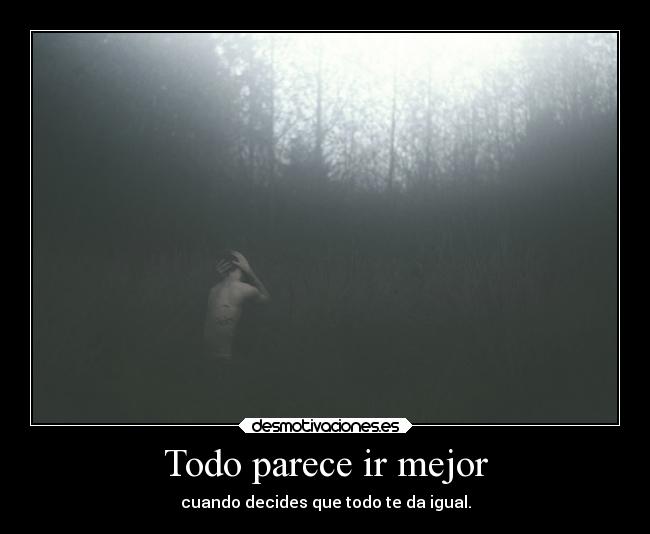 Todo parece ir mejor - cuando decides que todo te da igual.