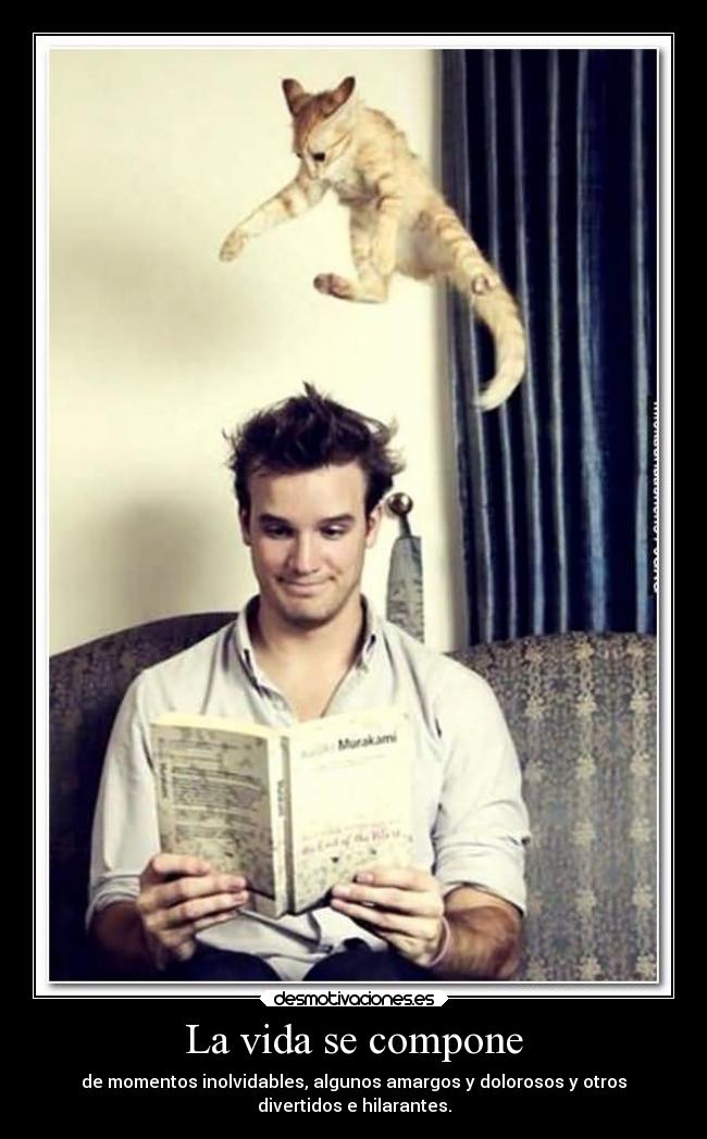 La vida se compone - de momentos inolvidables, algunos amargos y dolorosos y otros
divertidos e hilarantes.
