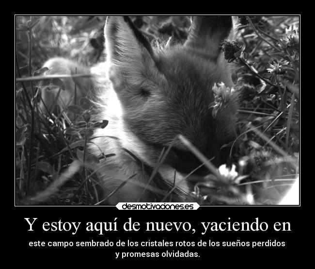 carteles vida ausencia amigos promesas recuerdos dolor animales amor alma mentiras kitsune shimakirikirkland desmotivaciones