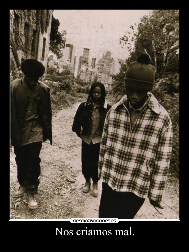 Nos criamos mal. -