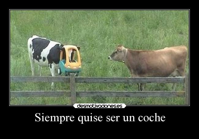 Siempre quise ser un coche -