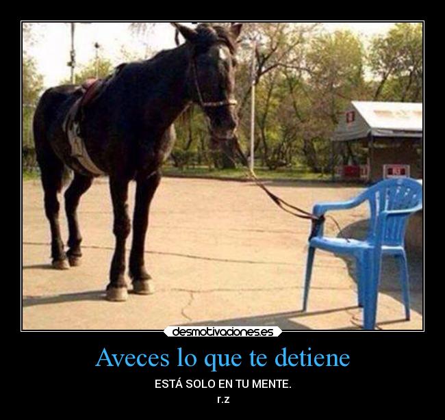 Aveces lo que te detiene - ESTÁ SOLO EN TU MENTE.
r.z